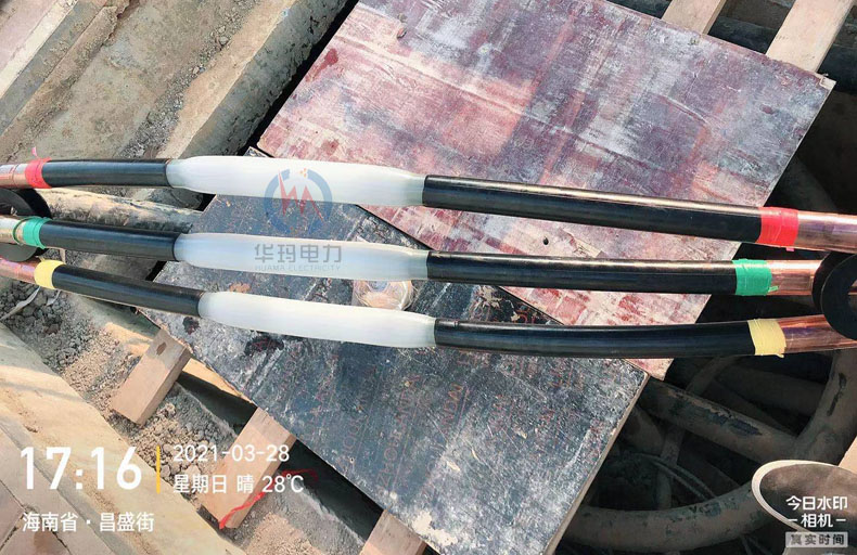 ����������̳��������